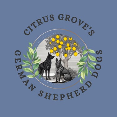 Citrus Grove's German Shepherd Dogs LLC logo