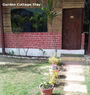 Garden cottage at Jungle Lore Resort with plants and peaceful outdoor space