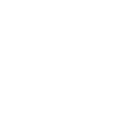 Slow Travel Planet logo