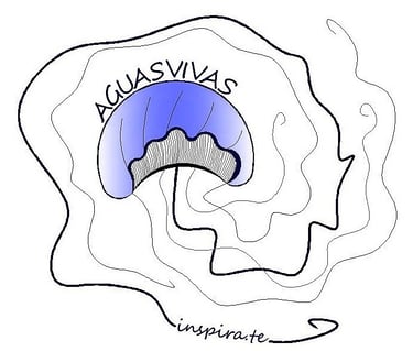 Águas Vivas - Freediving Centre logo