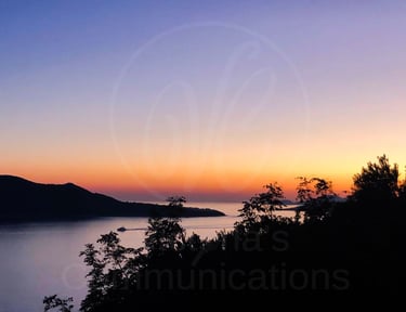 Photography VC