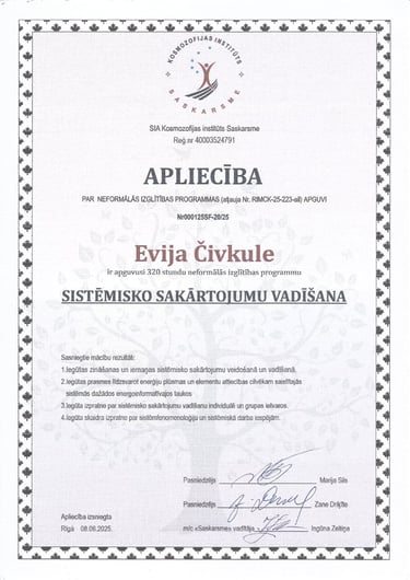 sistēmiskie sakārtojumi