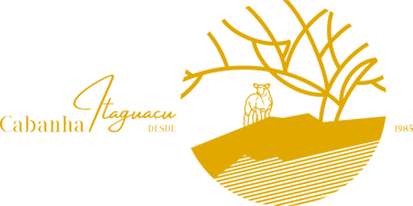 Cabanha itaguaçu logo