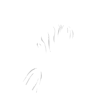 Espoir cheval Essaouira logo