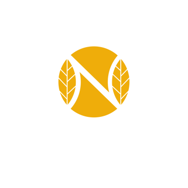 Navaveda Ayurveda & Wellness logo
