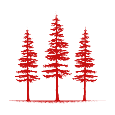 Redwood Valley Media logo