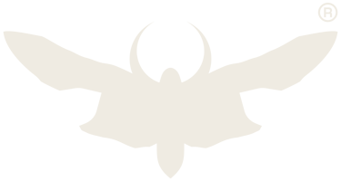 METAMORPHOZZE® logo