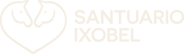 Santuario Ixobel logo