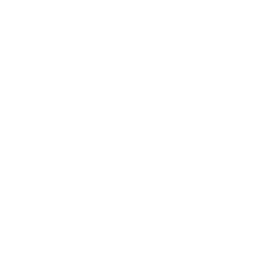 Jem Nazim Elite Personal training and online coaching logo