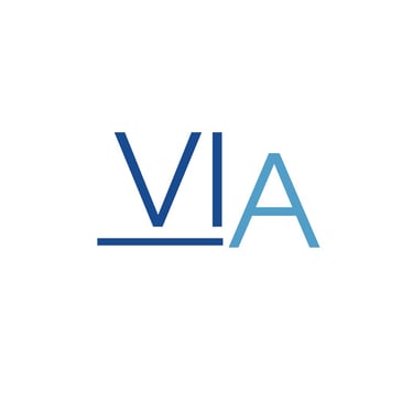 The V Aesthetics logo