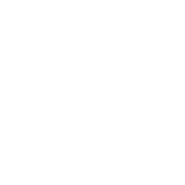 SOLDIAZ INSDUSTRIAS logo