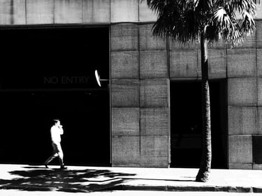 Man walks in front of black background, next to shadow of tree.