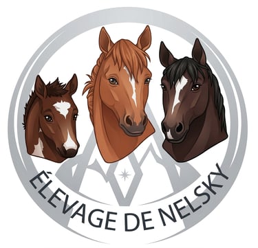 Elevage de Nelsky logo