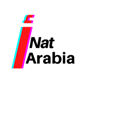 NatArabia logo