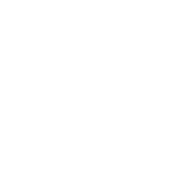 Webdiz logo