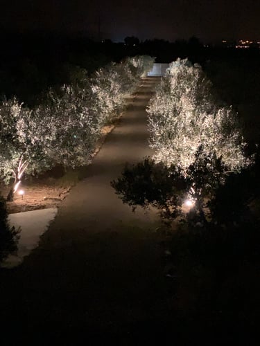 The front view to the grand entrance at night at Domaine Des Lucques