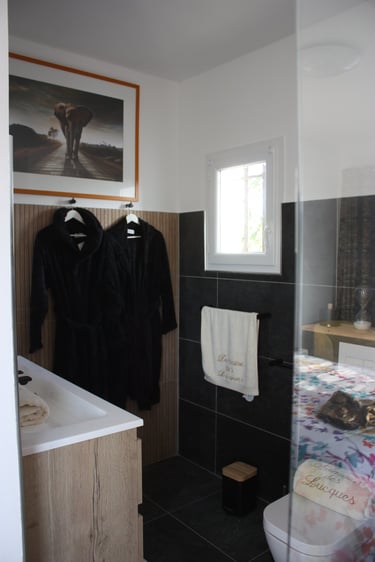 Bathroom equipped with grand mirror, sink, robe and sanitary items like shampoo, soap and toothbrush at Domaine Des Lucques