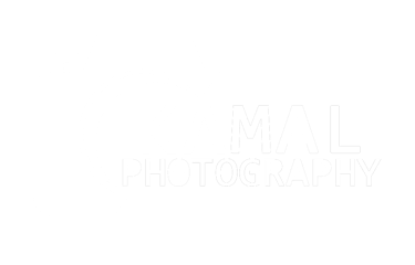 Kamalstudiodxb logo