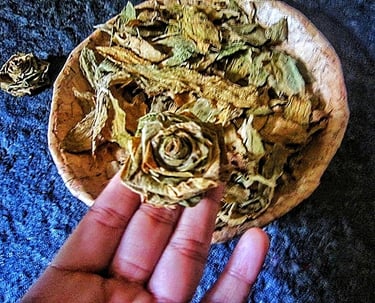 Natural leaf yellow rose on the hand and leaf on the recycle paper pate