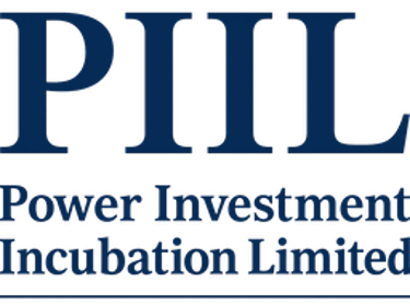 Power Investment Incubation Limited logo