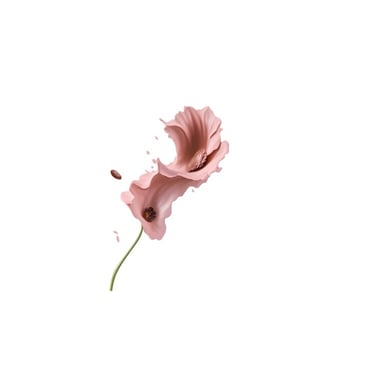 The Flower Potion logo