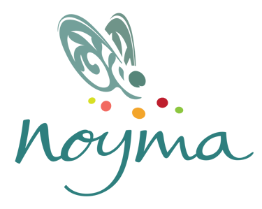 Noyma coaching individuel et team building logo