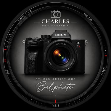 Studio artistique Belphoto logo