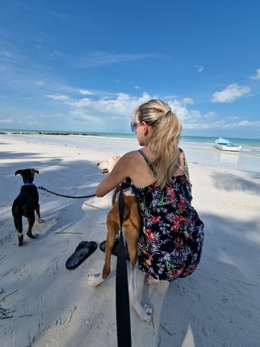chien plage