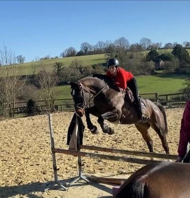 cheval saut d'obstacle
