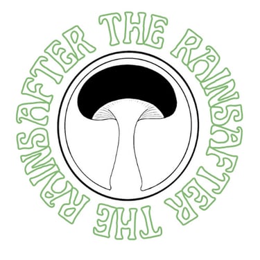 After the Rains logo