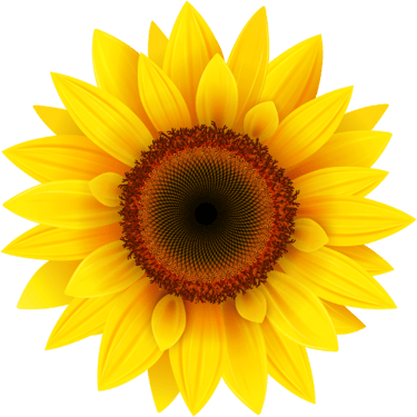 Living Fully together logo