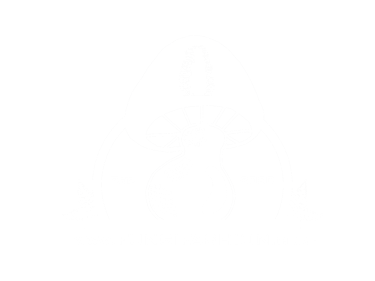Fungi Fashion logo