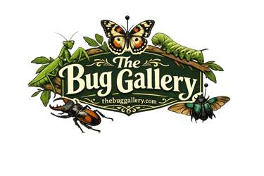 The Bug Gallery logo