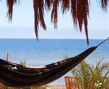 Hammock under palm tree leaves in front of the sea at Bedouin star in Egypt