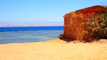 Sea, budget room with flowers at Bedouin star Egypt
