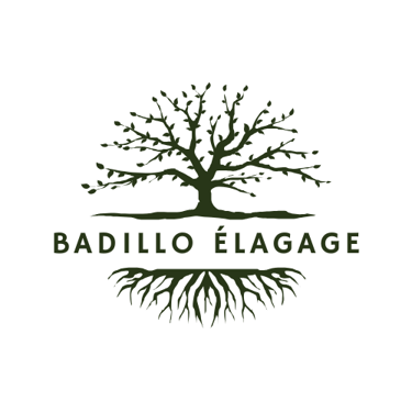 Badillo Elagage logo
