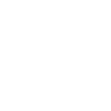 score seb logo