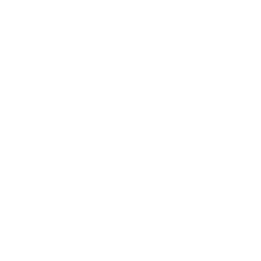 Eagleview Restoration logo