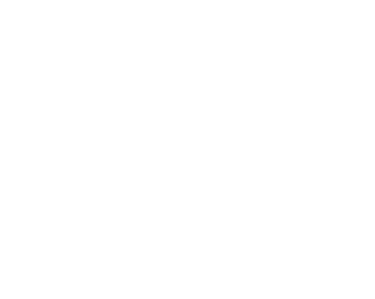 Aukščiausios kokybės ledas logo