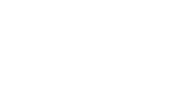 Comité Seccional Electoral logo