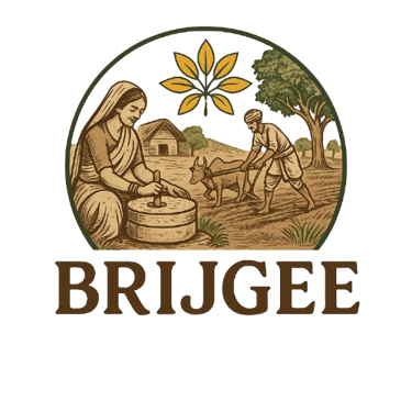 Brijgee Ayurvedic — Ancient Wisdom for Modern Wellness logo