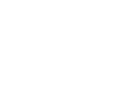 WIWA PRODUCCIONES logo