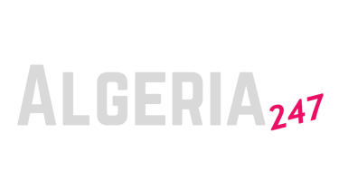 Algeria247 logo