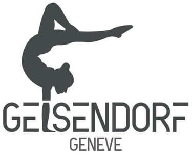 FSG GEISENDORF GENEVE - CLUB DE GYMNASTIQUE logo