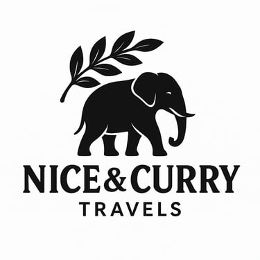 Nice and Curry Travels logo