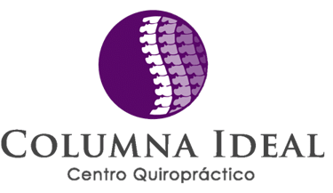 Columna Ideal Viña logo