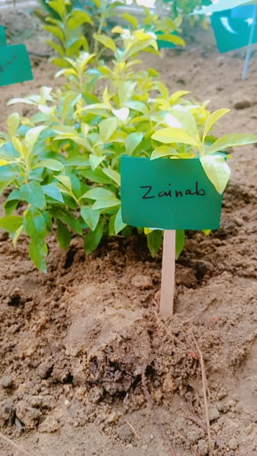 Child practicing motor skills in therapy