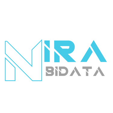 Nira BiData logo