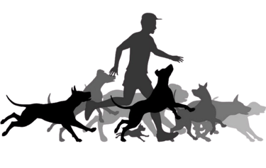Dog Boarding and Pet Care logo