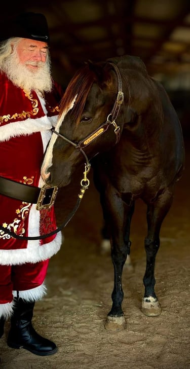 The Santa Cowboy with horse "Beonce"